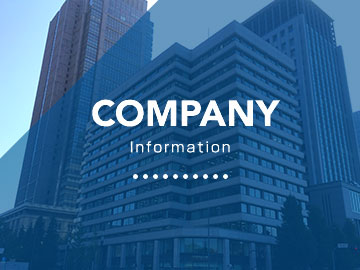 Company information