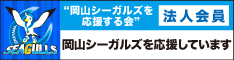 Okayama Seagulls